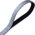 Large Dog Short Leash with Nylon Belting and Soft Padded Handle Lead.(18 Inches, Ultimate Grey)...