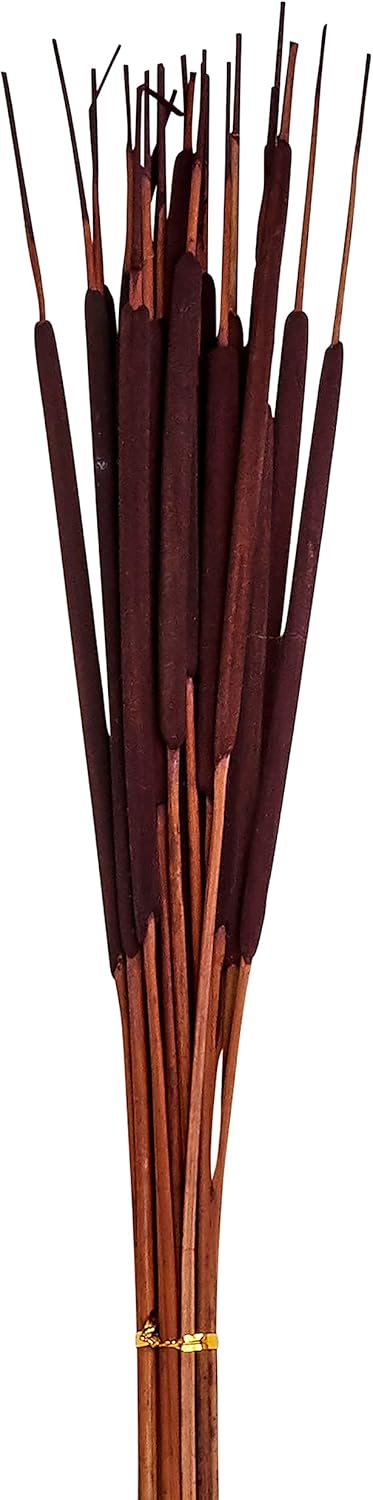 26" Natural Dried Pencil, Set of 5 Bunches of 25, 125pcs, Dark Brown Cattail, Large...