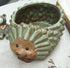 Cute Hedgehog shaped Vase Pot Home Decoration for small Succulent Plants Cartoon Flower Pot Hedgehog Succulent planter with drainage hole succulen...