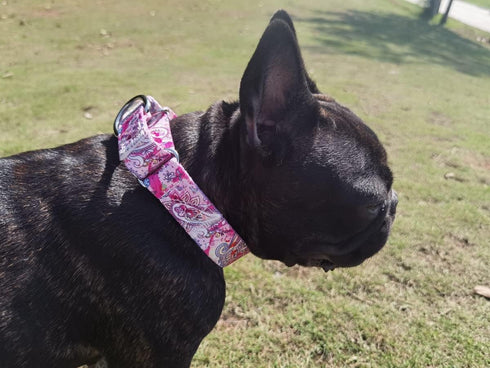 Adjustable Martingale Dog Collar Heavy Duty Nylon Dog Collar for Medium Large Dogs Walking Training Boy and Girl Dogs (XL, Pink)...