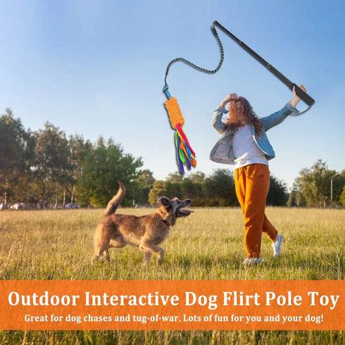 ASOCEA Dog Tug Toy with Flirt Pole,Aggressive Chewers Dog Squeaky Bungee Rope Toy Chase Pull Tug of War Lure Toy with Teaser Wand for Small Medium...