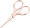Antique Style Stitch Embossed Stainless Steel Scissors, Cutting Scissors Handle For Diy And Artwork Metal Scissors(Rose Gold)...