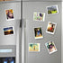 FINDMAG 80 Pcs Fridge Magnets, Small Magnets, 8x2mm Refrigerator Magnets...