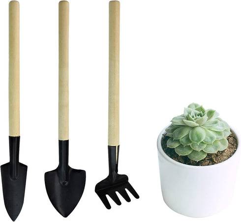 Andiker Mini Gardening Tools, 3pcs Portable Garden Hand Tools Set, Miniature Gardening Rake Trowel and Shovel for Seedlings, Bonsai, Succulents, H...