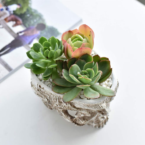 Skull Potted Plant Head Planter Pen Holder Desk Office Organizer Stationery Small Succulent Pots Gifts Decor Mini Resin Home Gardening Flower Pot ...