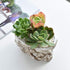 Skull Potted Plant Head Planter Pen Holder Desk Office Organizer Stationery Small Succulent Pots Gifts Decor Mini Resin Home Gardening Flower Pot ...
