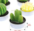 Swpeet 12Pcs Decorative Succulent Cactus Tealight Candles Kit, Cute Smokeless Succulent Plants Perfect for Candles Festival Wedding Props and Hous...