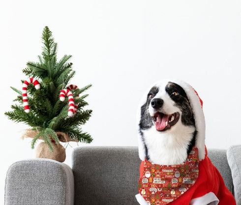 4 Pack Christmas Dog Cat Bandanas Christmas Pet Triangle Scarf Classic Polyester Bibs Kerchief Saliva Towels for Small Medium Large Pets Bandana f...
