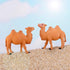 Hand Painted Camel Figurines Miniature Animal Statue Wildlife Bactrian Camel Figure Toy Cake Toppers Moss Landscape Decoration DIY Terrarium Craft...