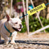 JXGZSO Reactive Not Aggressive Do Not Pet Dog Leash Sleeve Reactive Dog Leash Wrap (reactive N aggressive DLS)...