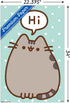 Trends International Pusheen - Hi Wall Poster, 22.375" x 34", Premium Poster & Clip Bundle...