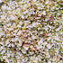 Dried Lemongrass Spice, Natural Lemon Grass Stalks, Cut & Sifted, Bulk Spice, Perfect for Tea & Seasoning (3.0 oz)...