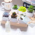 Wash Bottle - 2pcs 500ml/17oz Safety Wash Bottle Watering Tools, Economy Plastic Squeeze Bottle for Medical Label Green Soap Cleaning Washing Bott...