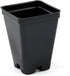 Grower's Solution 2.5 inch Square Greenhouse Pots - Black - Plastic - Deep - 25 Pack...