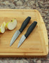 Cestari Charcuterie Board Accessories : Ceramic Paring Knife Blade Never Needs Sharpening; 3 Inch Paring Knife with Sheath - Black Mirror Finish R...