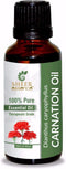 Carnation Oil 15 ML (0.51 Fl.OZ) | 100% Pure Natural Undiluted Uncut Therapeutic Grade Dianthus Caryophyllus Essential Oil...