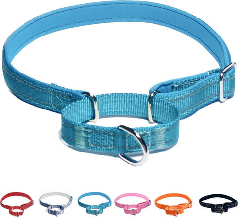 Martingale Dog Collars, Reflective Safety Puppy Collar, Adjustable Soft Nylon Training Dog Collar,Metal Accessories Heavy Duty No Pull Pet Collars...