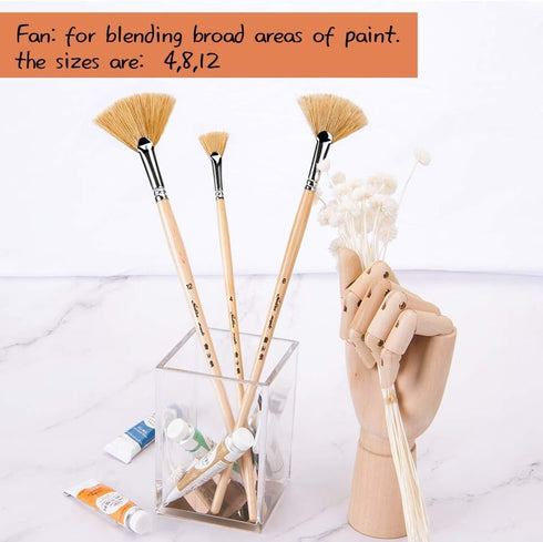 Oil Acrylic Paint Brushes Artist Fan Paint Brush Set Natural Bristle Long Handle Painting Brush. (3Pcs)...