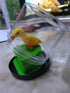 shenghang BIRD Toothpick Dispenser Bird toothpick box funny portable plastic toothpick holder Automatic telescopic push type (B)...
