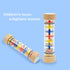 Rainmaker - 9 inch Wooden Rain Stick Montessori Toys for Babies 6 Months, Rattle Shaker Sensory Developmental, Raindrops Musical Instrument Rain S...