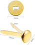 Yaocom 100 Pieces 3/4 Inch Brass Paper Fasteners Paper Brads, and 300 Pieces Plated Brass Washers with Hole Punch (Gold, 20mm Long)...