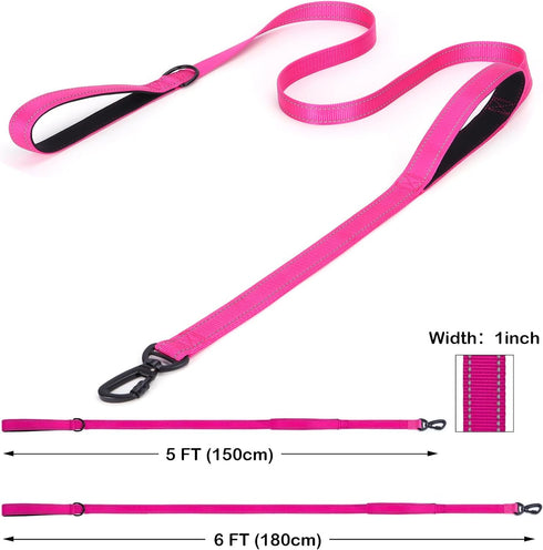 Reflective Nylon Dog Leash - Heavy Duty Padded Two Handle Reflective Leash for Night Safety Training for Small Medium Large Breed Pet Dogs (Light ...