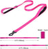Reflective Nylon Dog Leash - The Heavy Duty Hero Leash with Two Handles for Night Safety Training - for Small Medium Large Breed Pet Dogs (Light B...