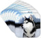 3dRose CST_4438_2 Siberian Husky Soft Coasters, (Set of 8)...