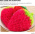 UPKOCH 3Pcs Dish Scrubber Fun Strawberry Shape Dish Sponges Kitchen Dishcloth Super Soft Absorbent Dish Rags for Washing Dishes Cleaning (Red)...