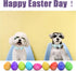 Dog Collar Easter Gift with Bow Tie, Egg male Dog Collar with Safety Metal Buckle Adjustable Puppy Collars for Small Medium Large Boy & Girl Dog,X...