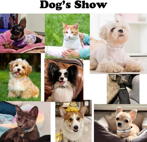Small Dog Collar Diamond Bling Girl Puppy Cat Collars Rhinestone Bowtie Female Boy Little Pet kitten Collar Animals Black XS...