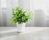 Small Plant Pots Plastic Planters with Tray and Drainage Holes for Indoor Outdoor Plants Succulent and Flowers Modern Home Decoration Gift Idea 9 ...