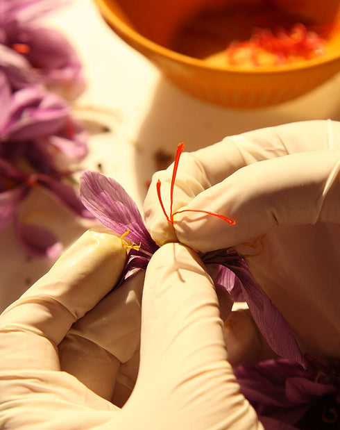 Zaffrus - Premium Saffron Powder for Cooking, Athletes, Specialty Drinks Fans - Pack of 25 (3.125 gr/ .1102 oz)...