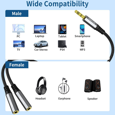 QianLink Headphone Splitter, 3.5mm Male to 2 Female Ports, 1ft/0.30m Extension Cable for PS4, PS5, Xbox, Switch, PC Gaming Headsets, Phone, Tablet...