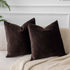 JUSPURBET Decorative Pillow Covers Set of 2 Velvet Throw Pillow Covers for Couch Sofa Bed Soft Cushion Covers Cases with Hidden Zipper for Living ...