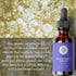 Pure Body Naturals Facial Serum - Hyaluronic Acid Serum, Retinol Serum, Vitamin C Serum, and Vitamin B3 (Niacinamide) Serum - A Perfect Serum Gift...