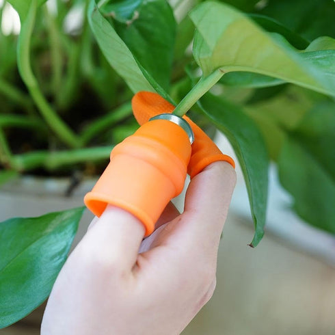 Garden Silicone Thumb Cutter Set, Separator Finger Plant Fruit Picking Tool, Fruit and Vegetable Picking Potted Plants Trim Silicone Thumb Tool fo...
