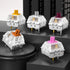 DRAOZA Kailh Speed Silver Gaming Mechanical Keyboard Switches Linear Fast Response(36 PCS)...