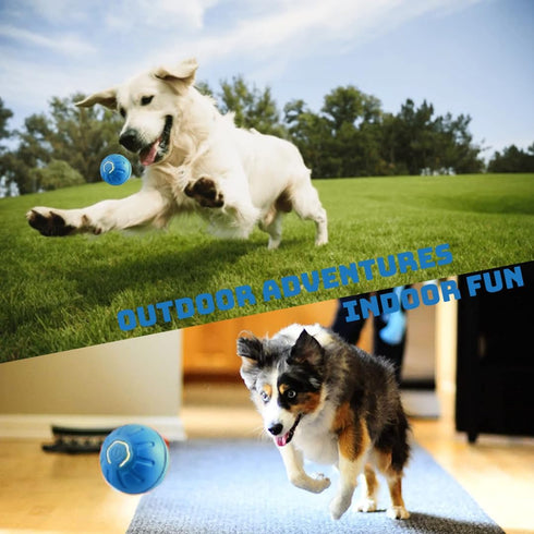 Bouncing Ball for Dogs - Fun Interactive Toy, USB Rechargeable, Durable Design, Water-Resistant for All Play Environments (Blue)...