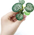 6PCS Aquarium Plants Fish Tank Decorations Betta Silk Plastic Plants for Aquarium Decor...