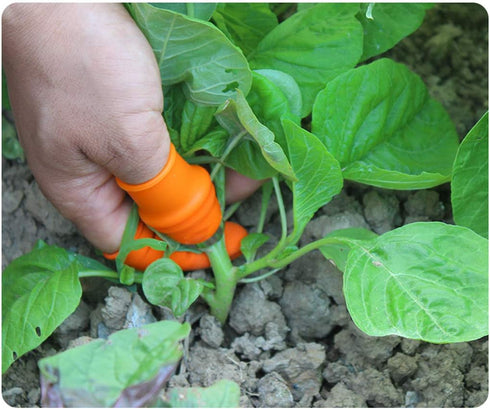 Fruit and Vegetable Picking Potted Plants Trim Silicone Thumb Knife Set Portable Small Garden Tools...