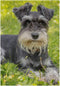Miniature Schnauzer The Green Grass Garden Flag Banner 12 x 18 Inch Decorative Garden Flag for Outdoor Lawn and Garden Home Décor Double-Sided...