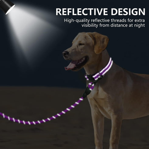 Dynmeow Reflective Dog Collar and Leash Set, 6FT Strong Climbing Rope Leash with Padded Handle, Adjustable Pet Collar with Soft Neoprene Padding f...