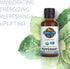 Garden of Life Essential Oil, Peppermint 0.5 fl oz (15 mL), 100% USDA Organic & Pure, Undiluted & Non-GMO - for Diffuser, Aromatherapy, Meditation...