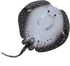 Safari Ltd. Marble Ray Figurine - Realistic 8" Sea Creature Figure - Educational Toy for Boys, Girls and Kids Ages 3+...