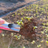 BESPORTBLE Garden Bucket Tool Shovel Soil Scoops for Garden Bucket Scoops Planting Supplies Soil Scoops for Kids Bonsai Planting Scoops Stainless ...