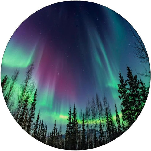 Northern Lights Aurora Borealis Green Purple Phone Stand PopSockets Adhesive PopGrip...