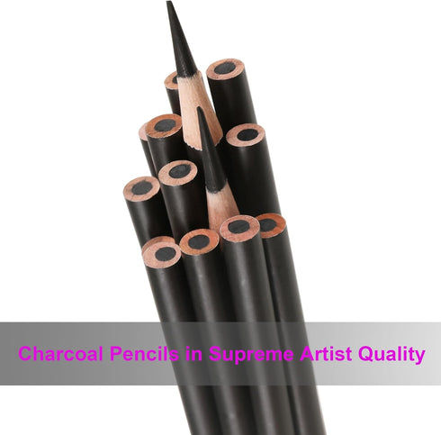 12 Pieces Charcoal Pencils Drawing Set - Super Soft,Soft,Medium and Hard Charcoal Pencils for Drawing,Sketching,Shading,Blending,Portrait...