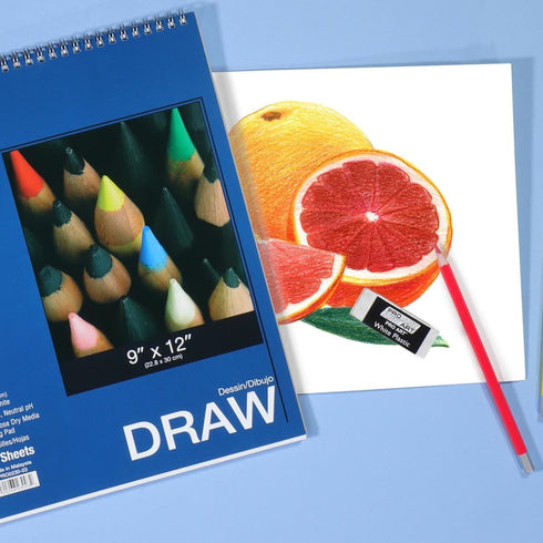 PRO ART Drawing Paper, 9-inch x 12-inch, 25 Sheet Wire Bound Pad, White...