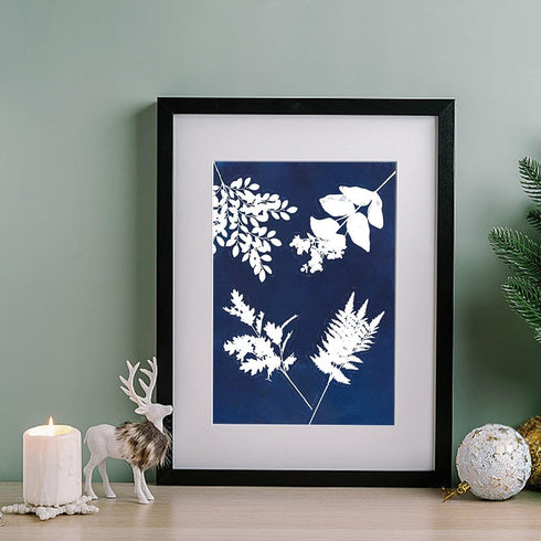 WEBEEDY 30 Sheets Cyanotype Paper Leaves Sun Print Paper Kit,A4 High Sensitive Sun Paper Nature Sun Printing Kit,Sun Art Paper Sun Print Paper for...